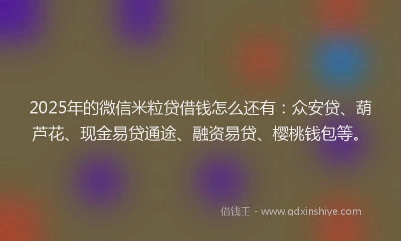 2025年的微信米粒贷借钱怎么还有：众安贷、葫芦花、现金易贷通途、融资易贷、樱桃钱包等。