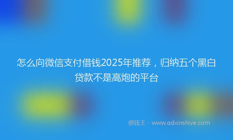 怎么向微信支付借钱2025年推荐，归纳五个黑白贷款不是高炮的平台
