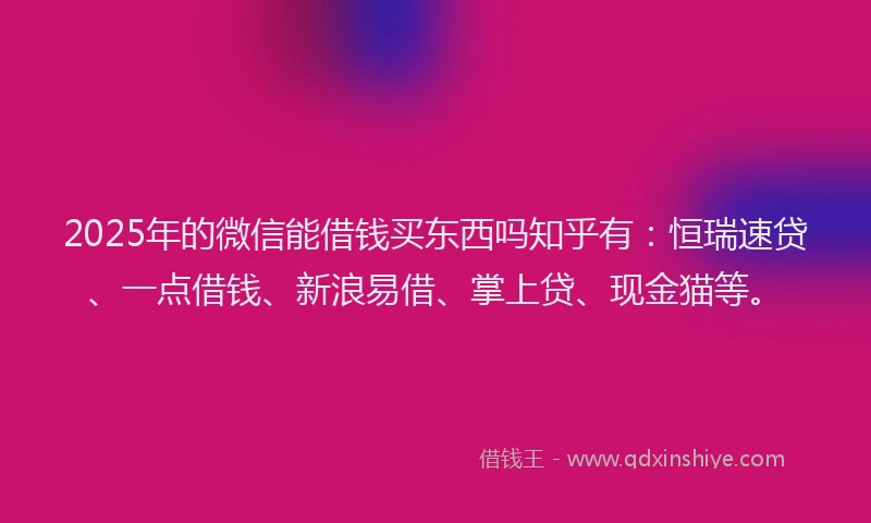 2025年的微信能借钱买东西吗知乎有：恒瑞速贷、一点借钱、新浪易借、掌上贷、现金猫等。