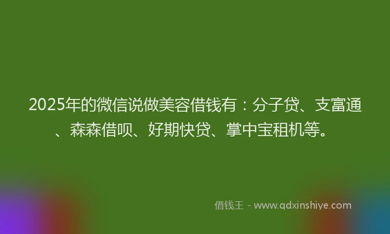 2025年的微信说做美容借钱有：分子贷、支富通、森森借呗、好期快贷、掌中宝租机等。