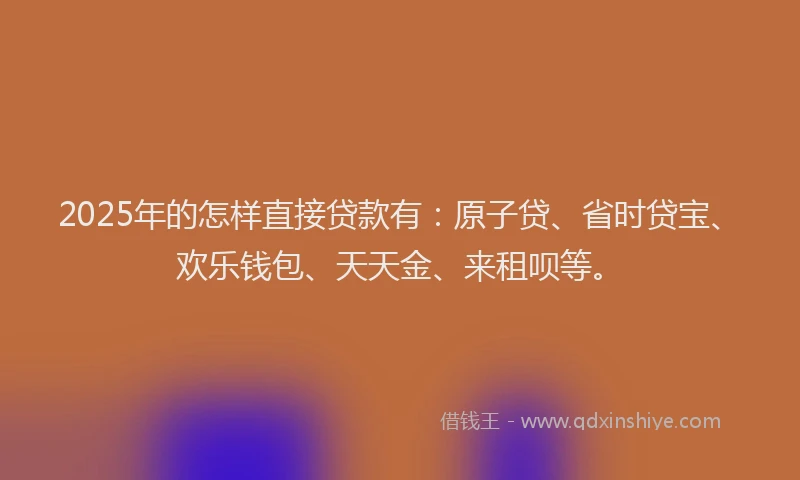 2025年的怎样直接贷款有：原子贷、省时贷宝、欢乐钱包、天天金、来租呗等。