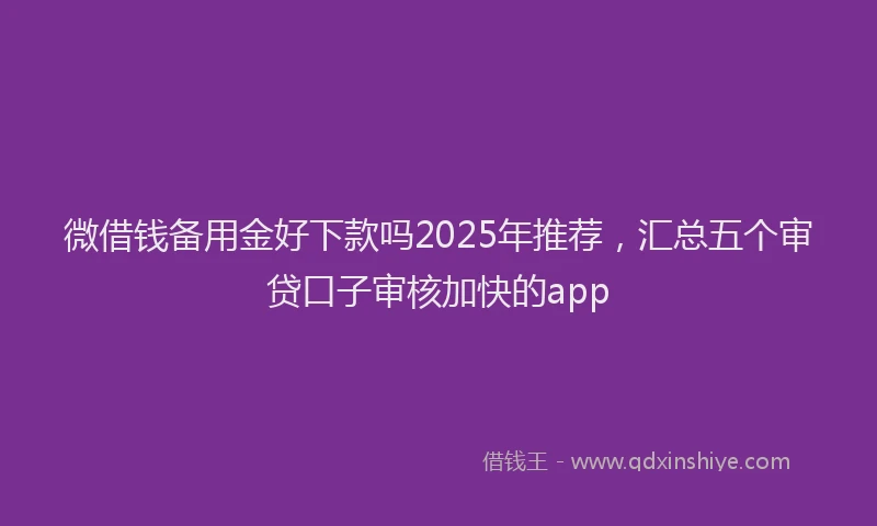 微借钱备用金好下款吗2025年推荐，汇总五个审贷口子审核加快的app