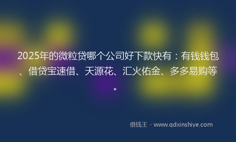 2025年的微粒贷哪个公司好下款快有：有钱钱包、借贷宝速借、天源花、汇火佑金、多多易购等。