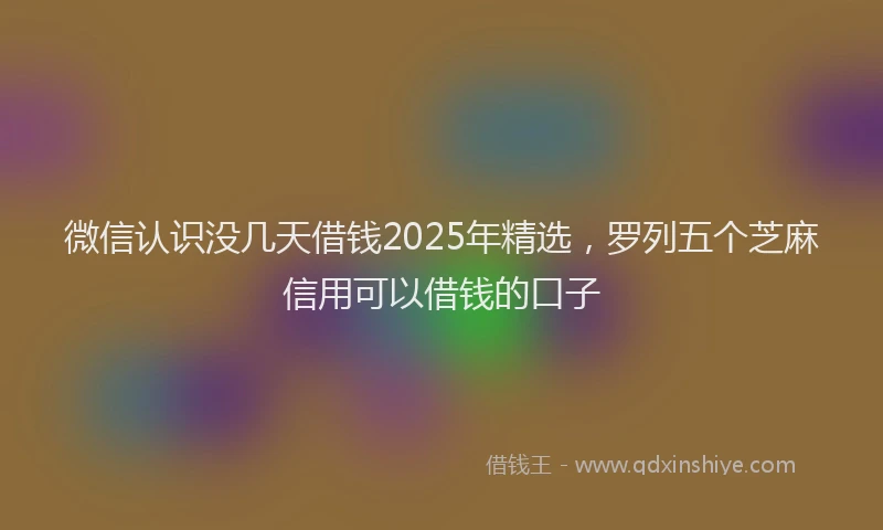 微信认识没几天借钱2025年精选，罗列五个芝麻信用可以借钱的口子