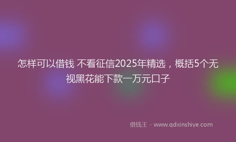 怎样可以借钱 不看征信2025年精选，概括5个无视黑花能下款一万元口子