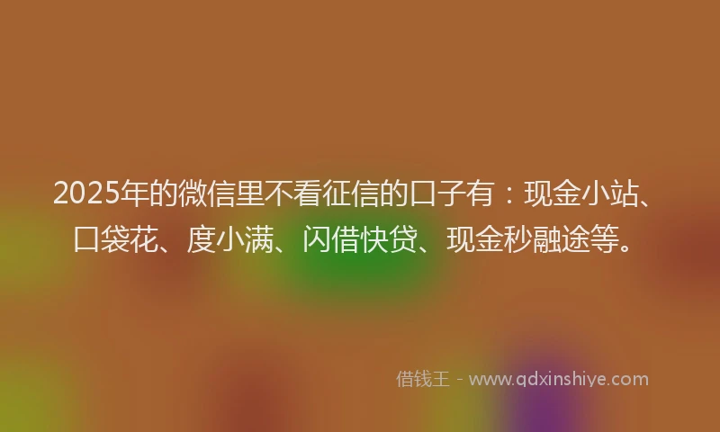 2025年的微信里不看征信的口子有：现金小站、口袋花、度小满、闪借快贷、现金秒融途等。