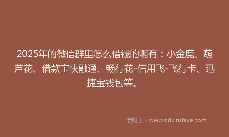 2025年的微信群里怎么借钱的啊有：小金鹿、葫芦花、借款宝快融通、畅行花-信用飞-飞行卡、迅捷宝钱包等。
