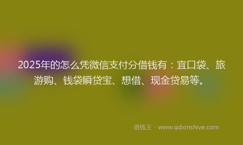 2025年的怎么凭微信支付分借钱有：宜口袋、旅游购、钱袋瞬贷宝、想借、现金贷易等。