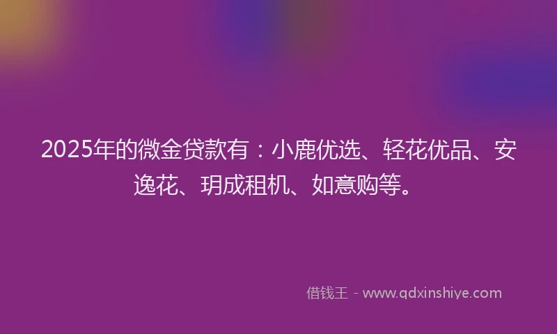 2025年的微金贷款有：小鹿优选、轻花优品、安逸花、玥成租机、如意购等。