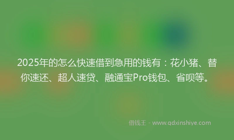 2025年的怎么快速借到急用的钱有：花小猪、替你速还、超人速贷、融通宝Pro钱包、省呗等。