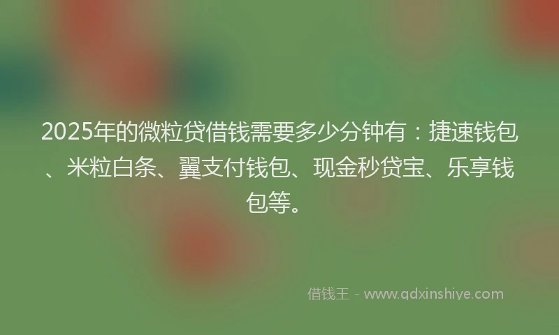 2025年的微粒贷借钱需要多少分钟有：捷速钱包、米粒白条、翼支付钱包、现金秒贷宝、乐享钱包等。