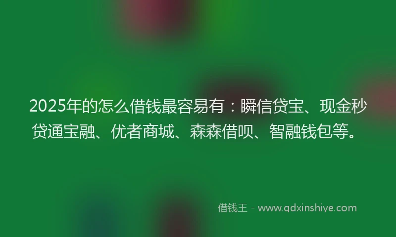 2025年的怎么借钱最容易有：瞬信贷宝、现金秒贷通宝融、优者商城、森森借呗、智融钱包等。