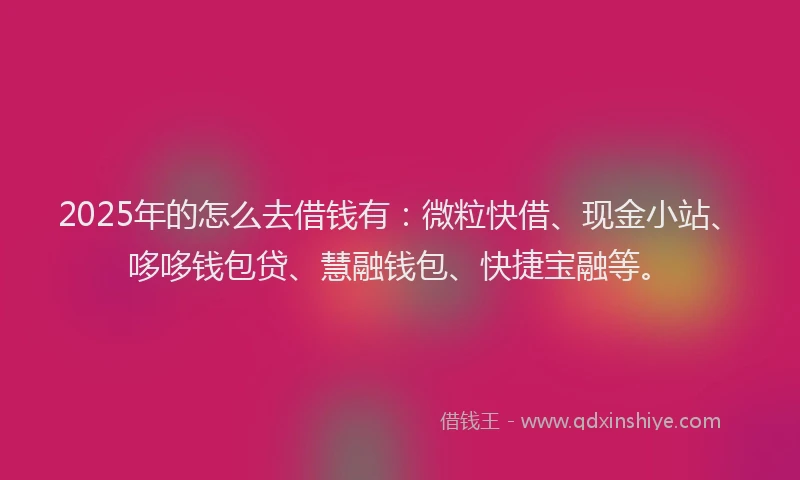 2025年的怎么去借钱有：微粒快借、现金小站、哆哆钱包贷、慧融钱包、快捷宝融等。