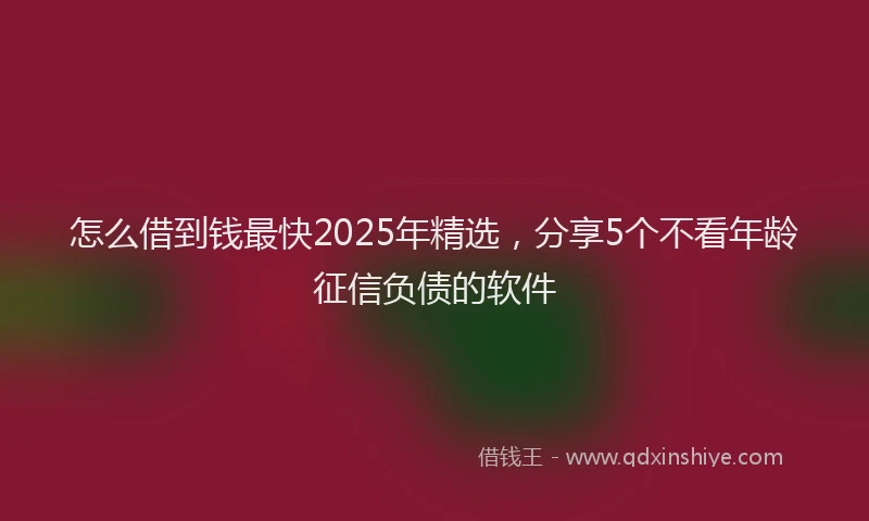 怎么借到钱最快2025年精选，分享5个不看年龄征信负债的软件