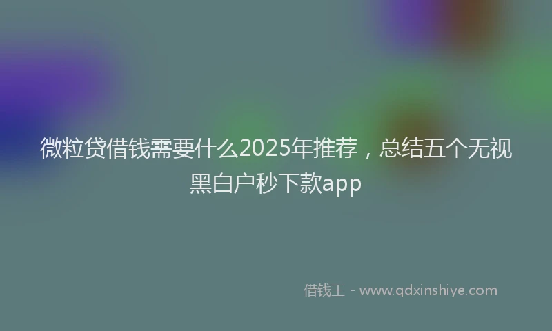 微粒贷借钱需要什么2025年推荐，总结五个无视黑白户秒下款app