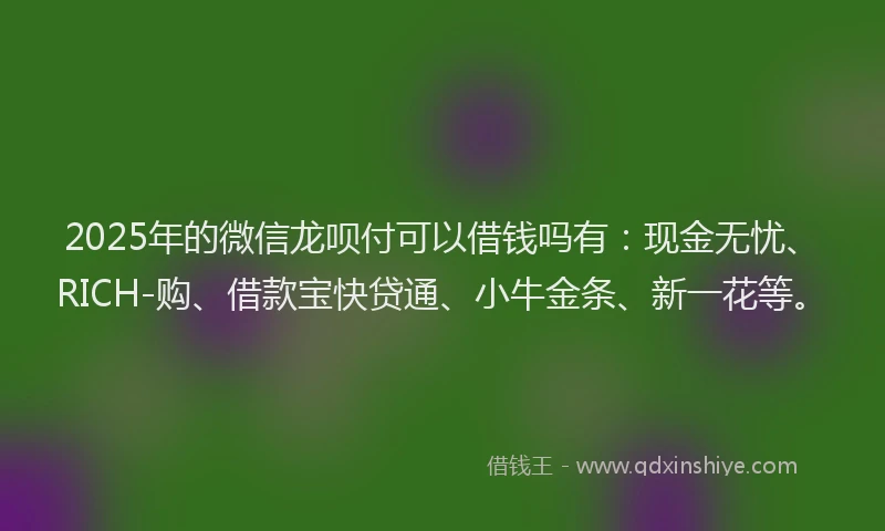 2025年的微信龙呗付可以借钱吗有：现金无忧、RICH-购、借款宝快贷通、小牛金条、新一花等。