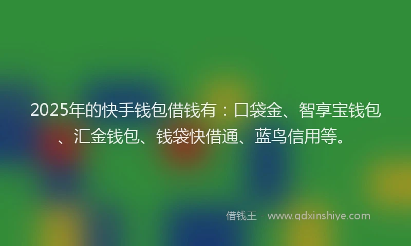 2025年的快手钱包借钱有：口袋金、智享宝钱包、汇金钱包、钱袋快借通、蓝鸟信用等。