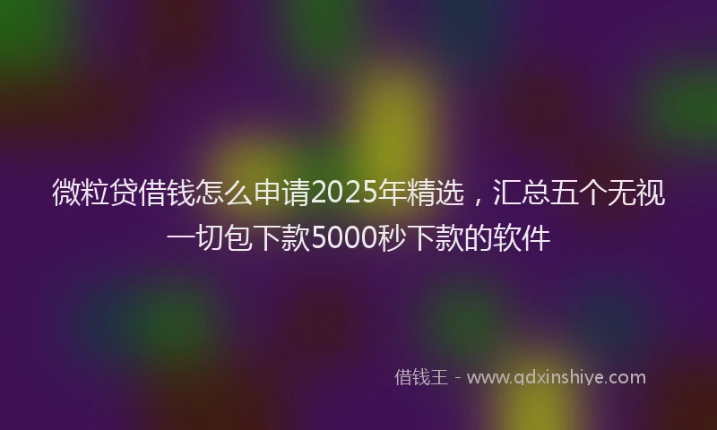 微粒贷借钱怎么申请2025年精选，汇总五个无视一切包下款5000秒下款的软件