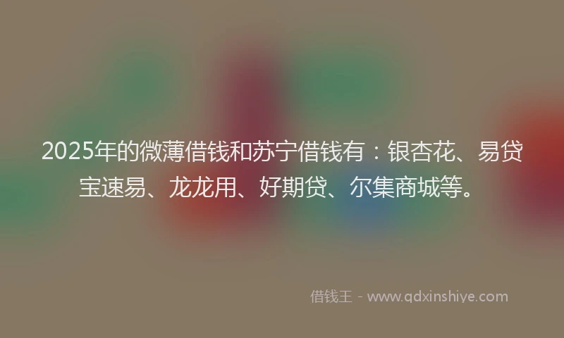 2025年的微薄借钱和苏宁借钱有：银杏花、易贷宝速易、龙龙用、好期贷、尔集商城等。