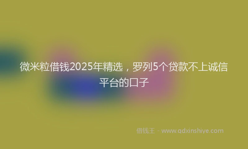微米粒借钱2025年精选，罗列5个贷款不上诚信平台的口子
