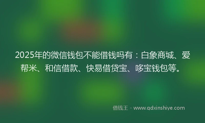 2025年的微信钱包不能借钱吗有：白象商城、爱帮米、和信借款、快易借贷宝、哆宝钱包等。