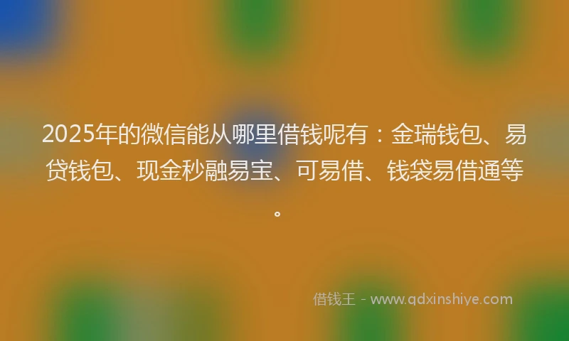 2025年的微信能从哪里借钱呢有：金瑞钱包、易贷钱包、现金秒融易宝、可易借、钱袋易借通等。