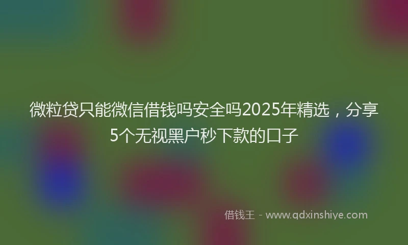 微粒贷只能微信借钱吗安全吗2025年精选，分享5个无视黑户秒下款的口子