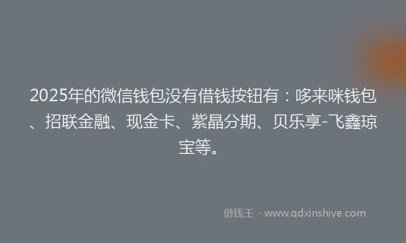 2025年的微信钱包没有借钱按钮有：哆来咪钱包、招联金融、现金卡、紫晶分期、贝乐享-飞鑫琼宝等。