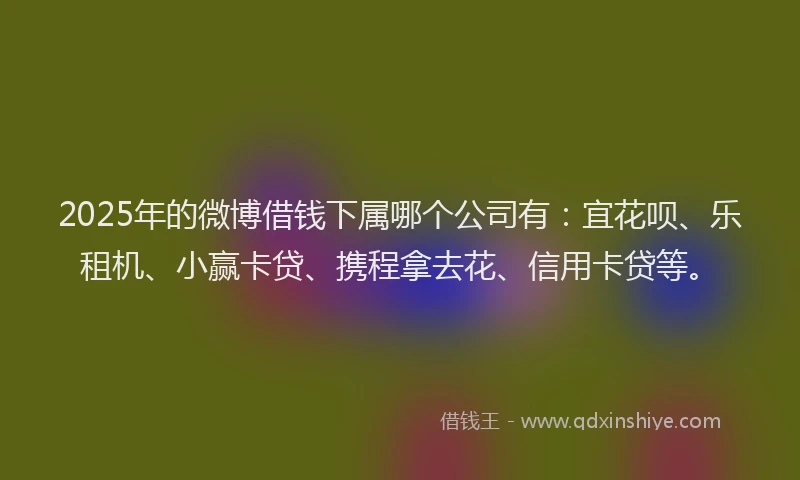 2025年的微博借钱下属哪个公司有：宜花呗、乐租机、小赢卡贷、携程拿去花、信用卡贷等。