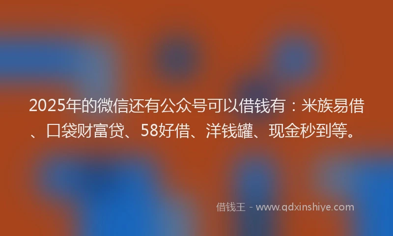 2025年的微信还有公众号可以借钱有：米族易借、口袋财富贷、58好借、洋钱罐、现金秒到等。