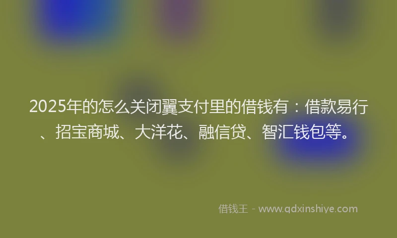 2025年的怎么关闭翼支付里的借钱有：借款易行、招宝商城、大洋花、融信贷、智汇钱包等。