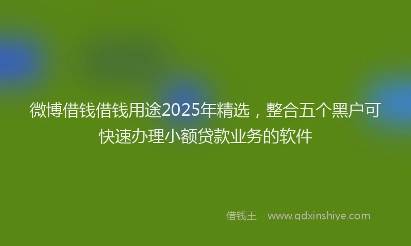 微博借钱借钱用途2025年精选，整合五个黑户可快速办理小额贷款业务的软件