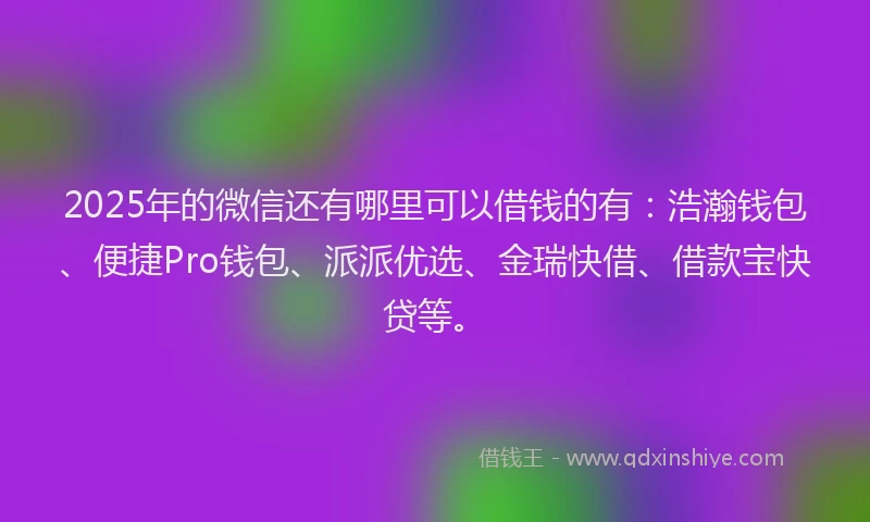 2025年的微信还有哪里可以借钱的有：浩瀚钱包、便捷Pro钱包、派派优选、金瑞快借、借款宝快贷等。
