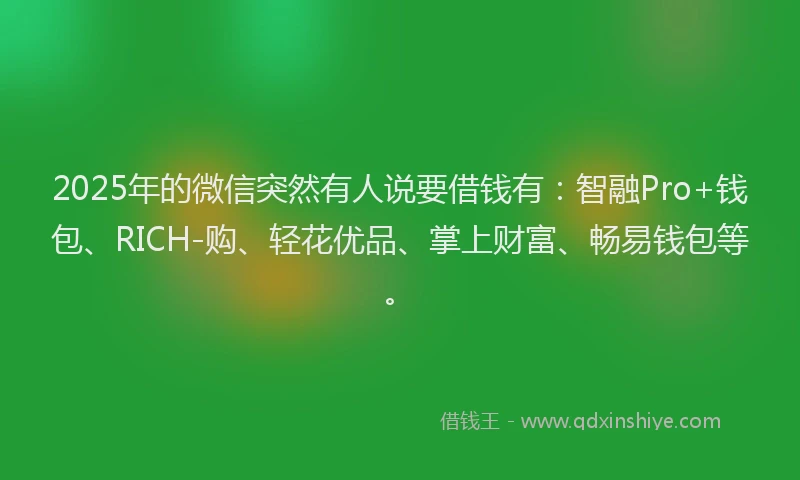 2025年的微信突然有人说要借钱有：智融Pro+钱包、RICH-购、轻花优品、掌上财富、畅易钱包等。
