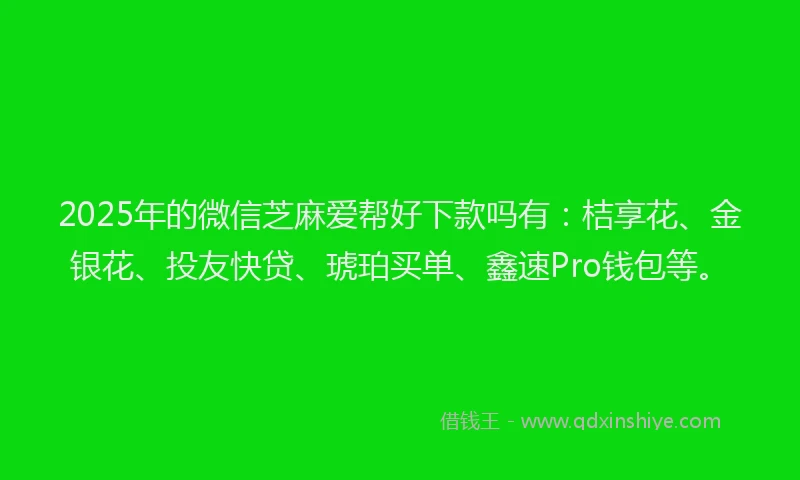 2025年的微信芝麻爱帮好下款吗有：桔享花、金银花、投友快贷、琥珀买单、鑫速Pro钱包等。