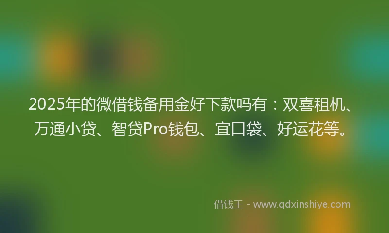 2025年的微借钱备用金好下款吗有：双喜租机、万通小贷、智贷Pro钱包、宜口袋、好运花等。