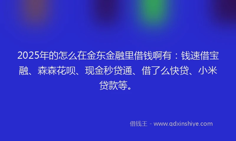 2025年的怎么在金东金融里借钱啊有：钱速借宝融、森森花呗、现金秒贷通、借了么快贷、小米贷款等。