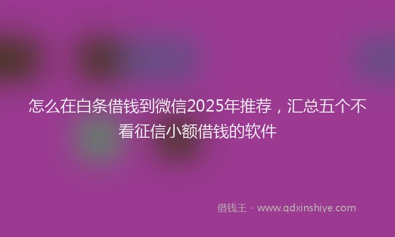 怎么在白条借钱到微信2025年推荐，汇总五个不看征信小额借钱的软件