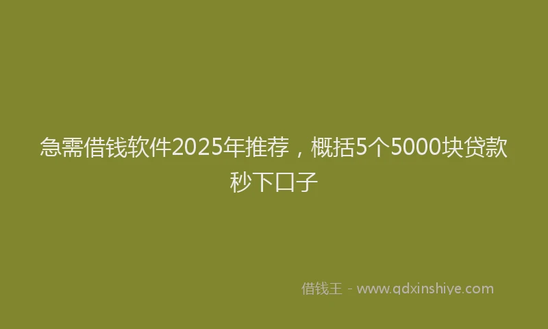 急需借钱软件2025年推荐，概括5个5000块贷款秒下口子
