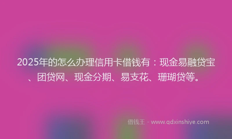 2025年的怎么办理信用卡借钱有：现金易融贷宝、团贷网、现金分期、易支花、珊瑚贷等。