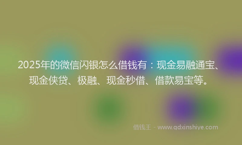 2025年的微信闪银怎么借钱有：现金易融通宝、现金侠贷、极融、现金秒借、借款易宝等。