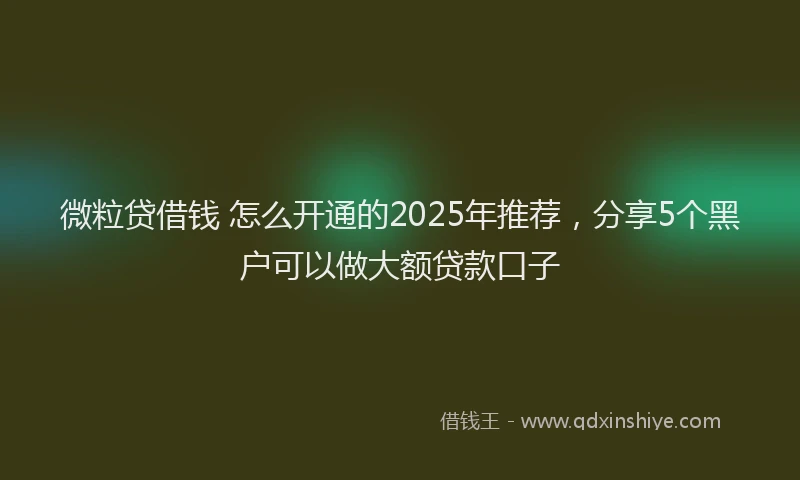 微粒贷借钱 怎么开通的2025年推荐，分享5个黑户可以做大额贷款口子
