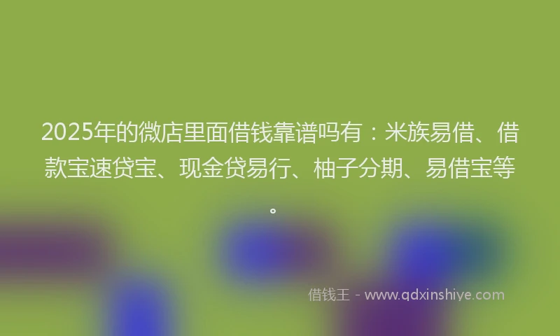 2025年的微店里面借钱靠谱吗有：米族易借、借款宝速贷宝、现金贷易行、柚子分期、易借宝等。
