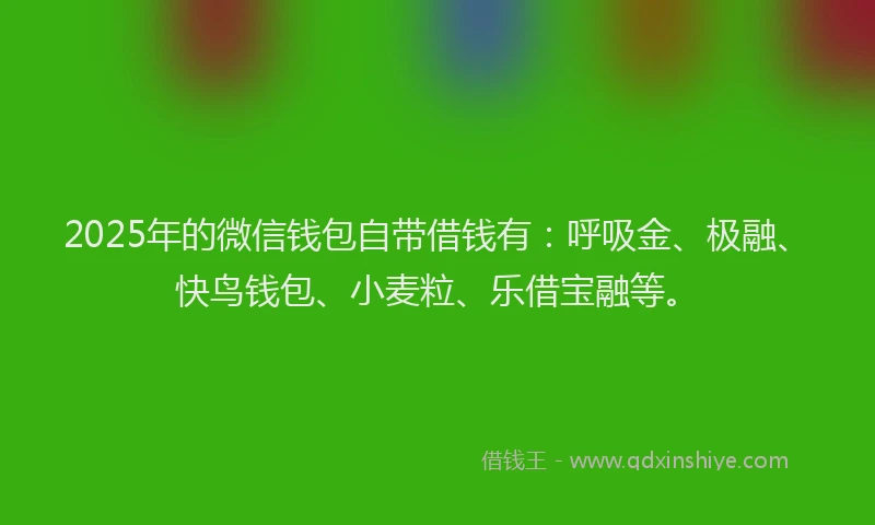 2025年的微信钱包自带借钱有：呼吸金、极融、快鸟钱包、小麦粒、乐借宝融等。