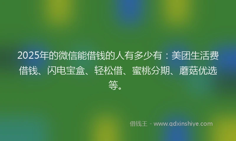 2025年的微信能借钱的人有多少有：美团生活费借钱、闪电宝盒、轻松借、蜜桃分期、蘑菇优选等。