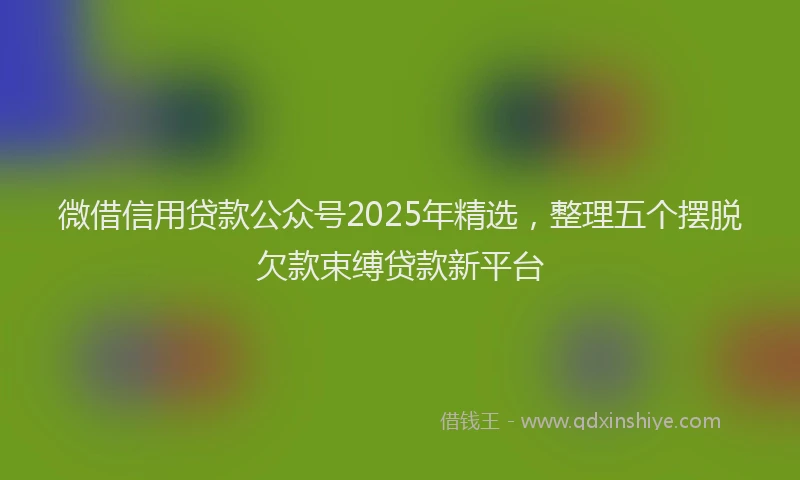 微借信用贷款公众号2025年精选，整理五个摆脱欠款束缚贷款新平台