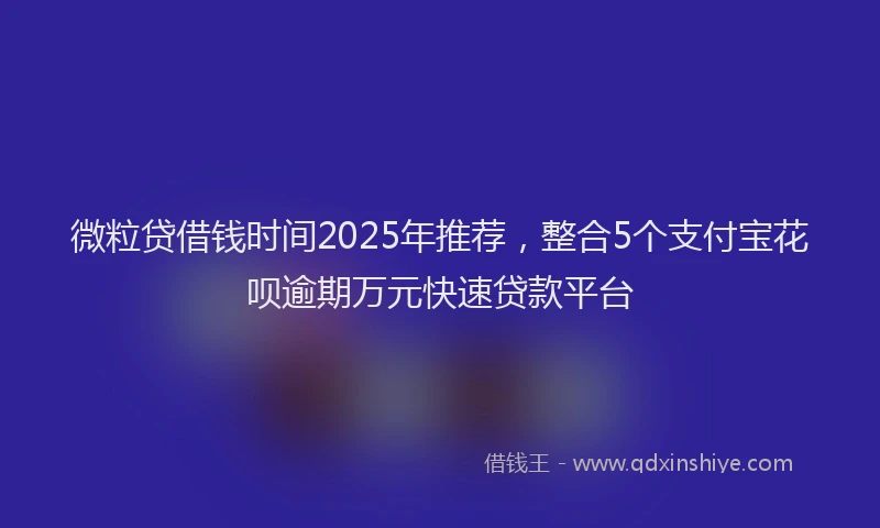 微粒贷借钱时间2025年推荐，整合5个支付宝花呗逾期万元快速贷款平台