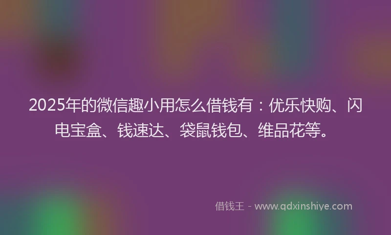 2025年的微信趣小用怎么借钱有：优乐快购、闪电宝盒、钱速达、袋鼠钱包、维品花等。