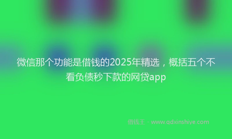 微信那个功能是借钱的2025年精选，概括五个不看负债秒下款的网贷app