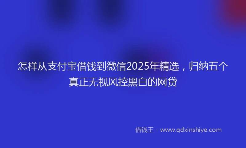 怎样从支付宝借钱到微信2025年精选，归纳五个真正无视风控黑白的网贷